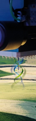 plante des graines dans tester tubes pour la génétique recherche.  laboratoire une analyse de agricole produits de base généré ai 22721291  Photo de stock chez Vecteezy