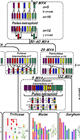 Plant genomics serving basic research projects