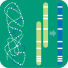 Genome Scaffolding Hi-C / Bionano