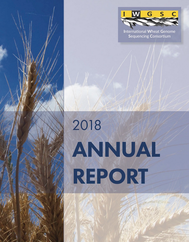 annual report 2019 iwgsc
