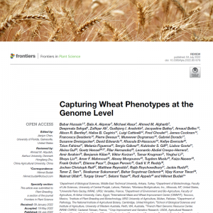 capturing wheat phenotypes publication