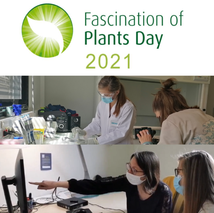 Fascination of plants day at CNRGV