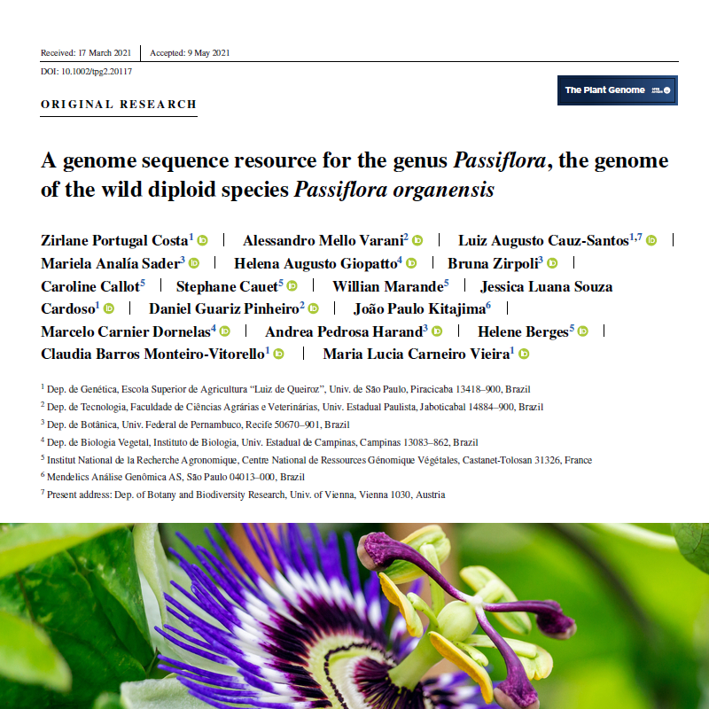 illustration publication genome passiflore
