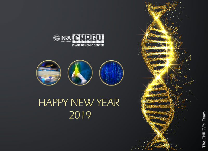 CNRGV greetings card 2019