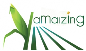 AMAIZING logo