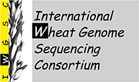 IWGSC logo