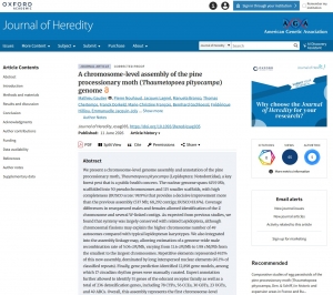 A chromosome-level assembly of the pine processionary moth (Thaumetopoea pityocampa) genome