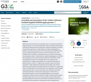 Assembly and annotation of the ‘Golden Delicious’ Doubled-Haploid GDDH18 apple genome