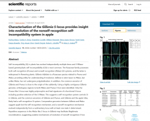 Characterisation of the Gillenia S-locus provides insight into evolution of the nonself-recognition self-incompatibility system in apple