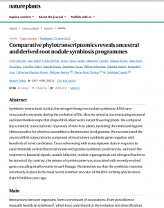 Comparative phylotranscriptomics reveals ancestral and derived root nodule symbiosis programmes