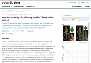 Genome assembly of a diversity panel of Chenopodium quinoa