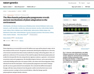 The Marchantia polymorpha pangenome reveals ancient mechanisms of plant adaptation to the environment