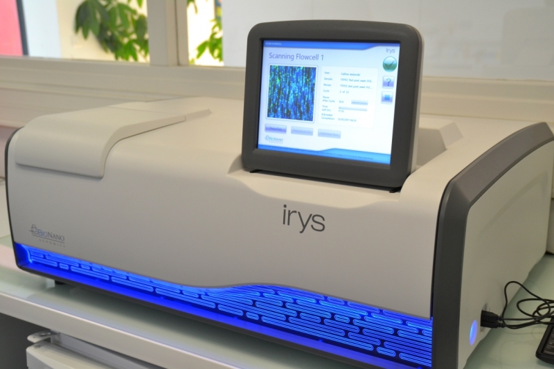 Genome-optical-mapping-service-Irys-BioNano