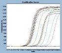 pcr