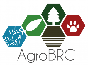 Logo AgroBRC RARe