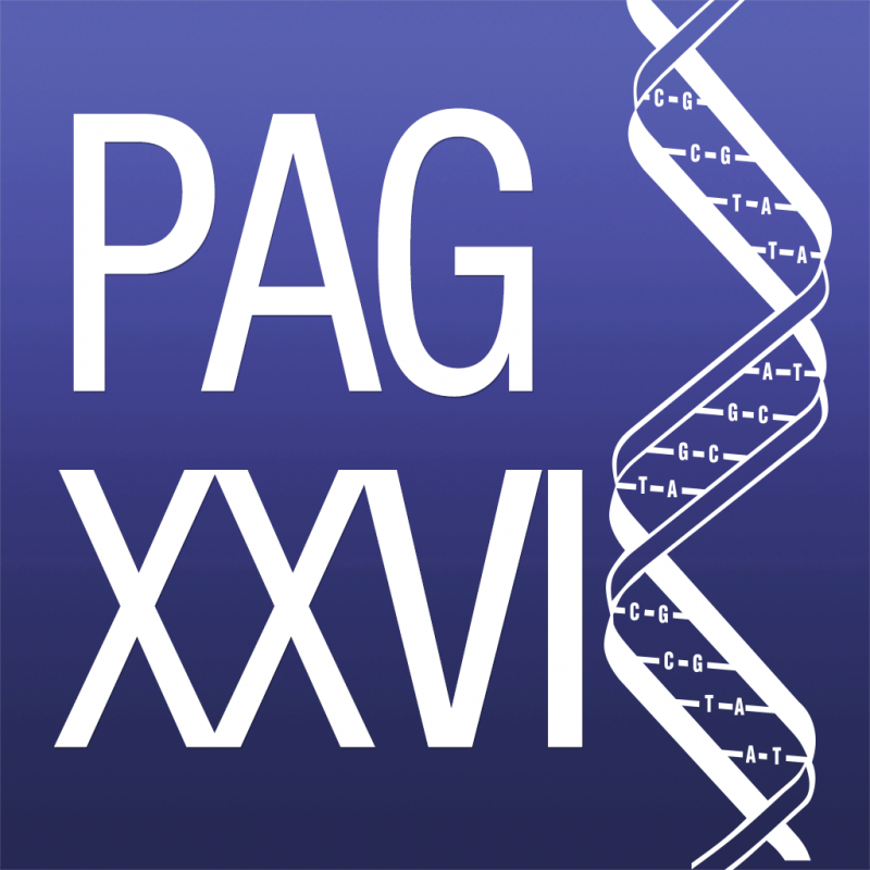 Logo PAG XXVI