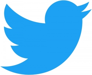 logo twitter redim