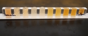 plugs jaune