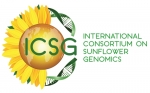 logo icsg logo icsg