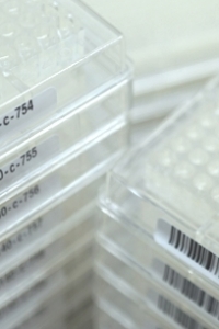 picking plaques 200x300 picking plaques 200x300