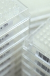 picking plaques 200x300 picking plaques 200x300