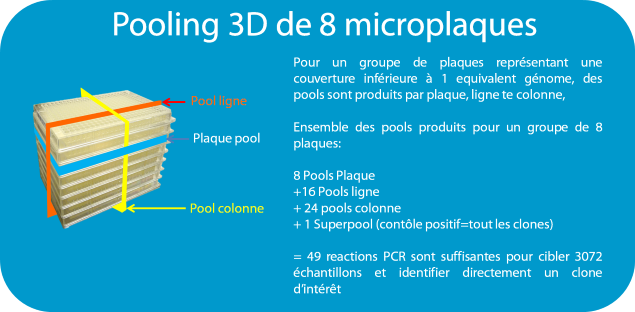 Pools 3D FR
