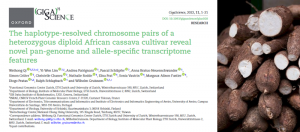 publication cassava